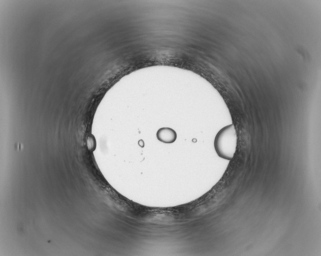 X0000111250750200908131207