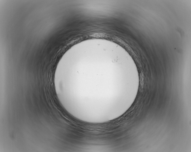 X0000111250752200908131207