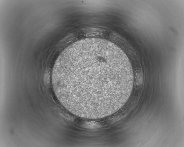 X0000111250753200908131207