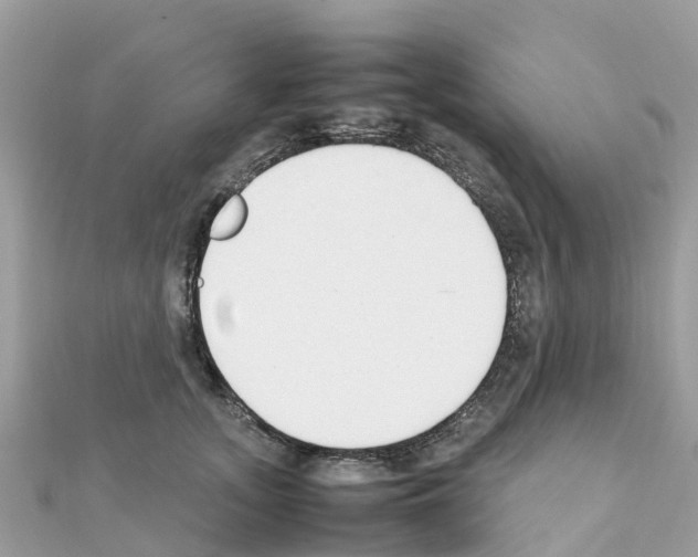 X0000111250755200908131207