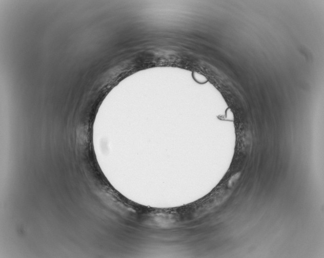 X0000111250756200908131207