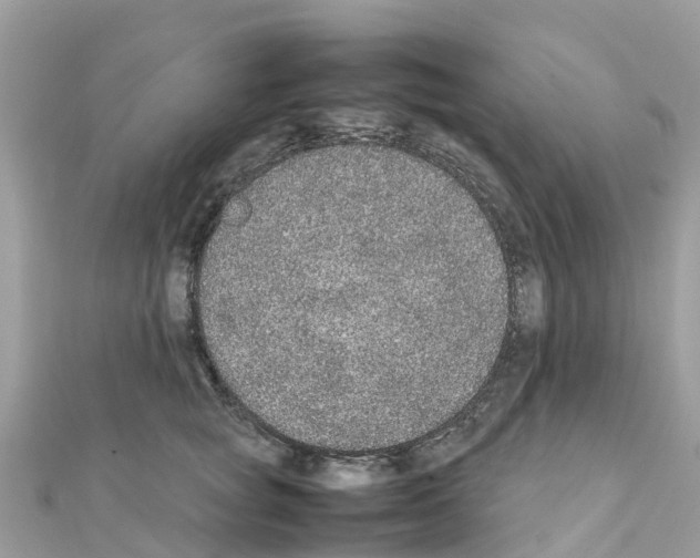 X0000111250757200908131207