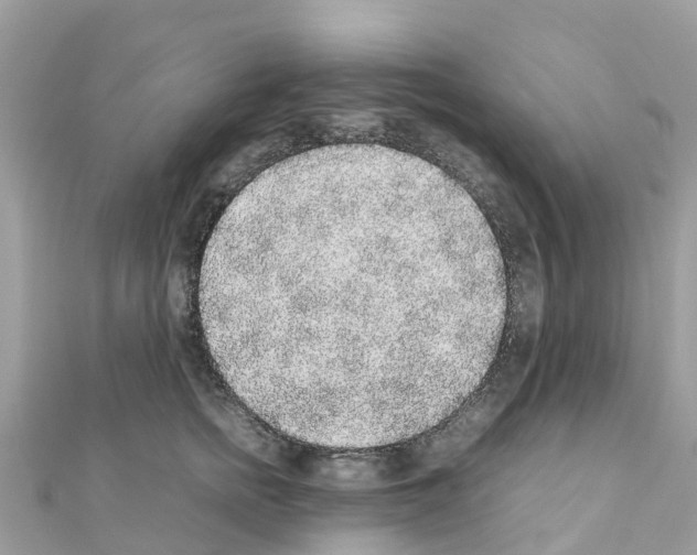 X0000111250758200908131207