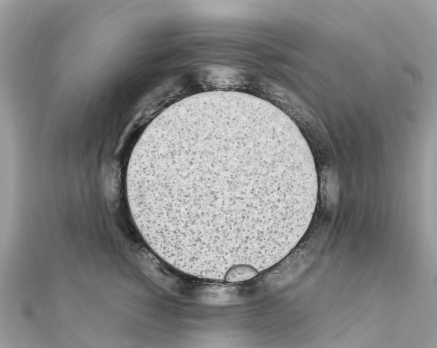 X0000111250760200908131207