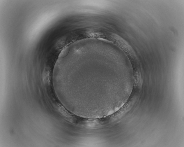 X0000111250762200908131207