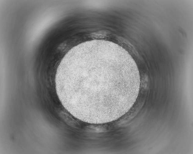 X0000111250763200908131207