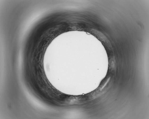 X0000111250764200908131207