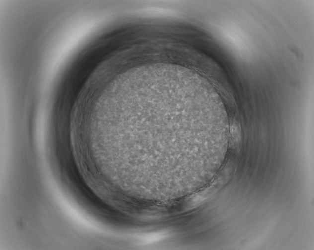 X0000111250765200908131207