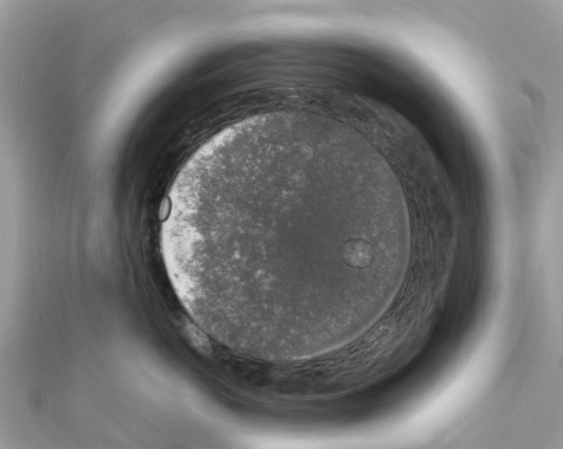 X0000111250766200908131207