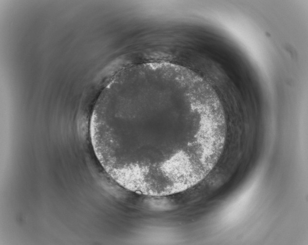 X0000111250767200908131207