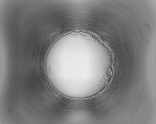 X0000111250768200908131207