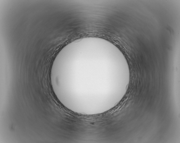 X0000111250769200908131207