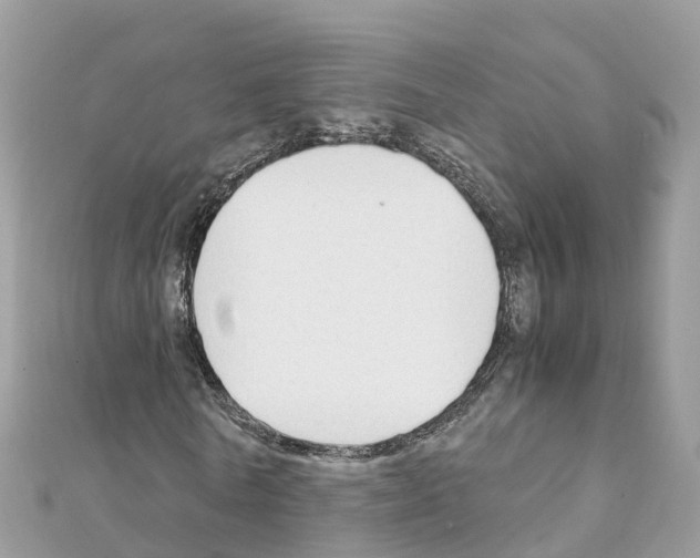 X0000111250770200908131207