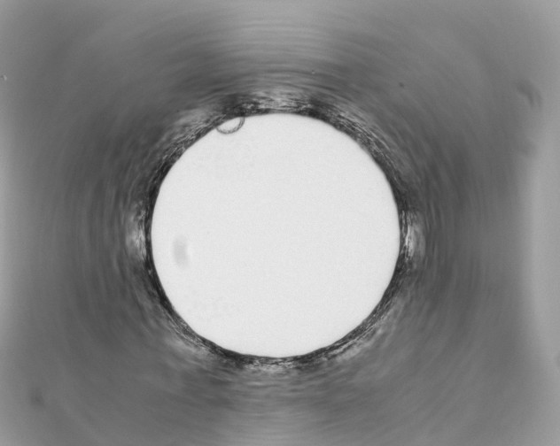 X0000111250771200908131207