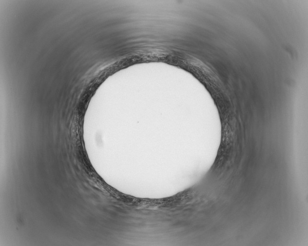 X0000111250773200908131207