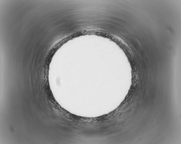 X0000111250775200908131206