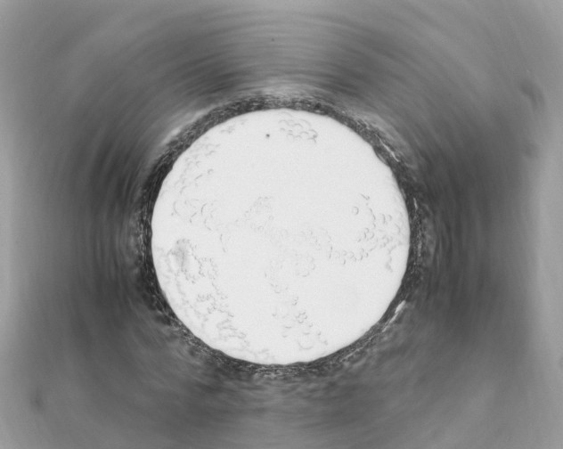 X0000111250776200908131206