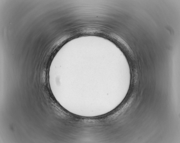 X0000111250777200908131206