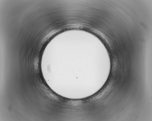 X0000111250778200908131206