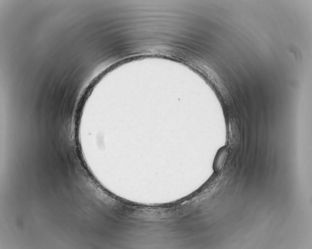 X0000111250780200908131206