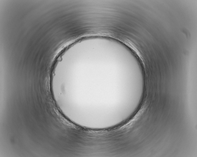 X0000111250781200908131206