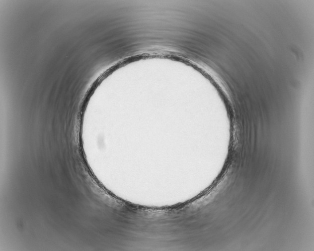 X0000111250783200908131206