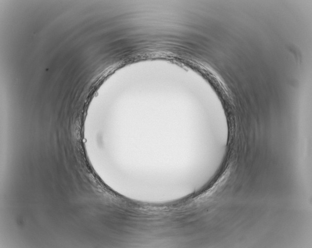 X0000111250785200908131206