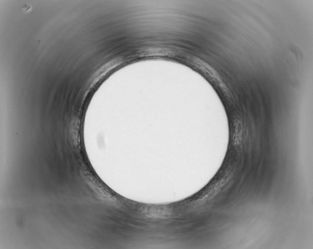 X0000111250786200908131206