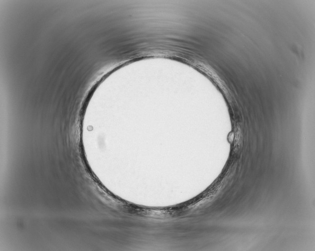 X0000111250787200908131206