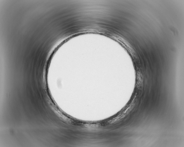 X0000111250788200908131206