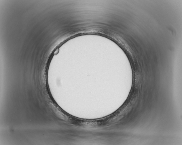 X0000111250789200908131206