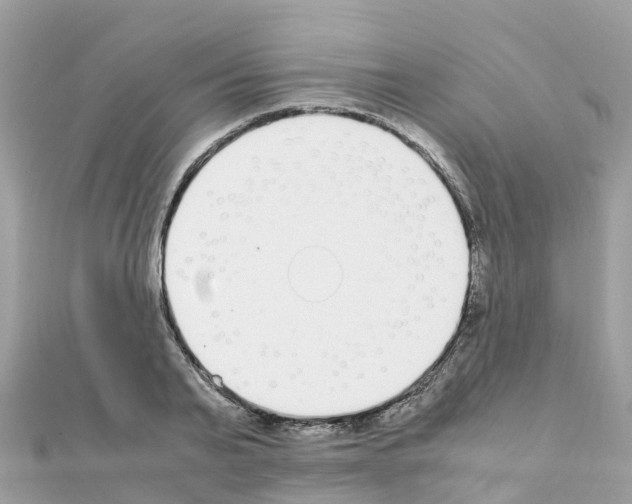 X0000111250791200908131206