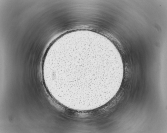 X0000111250792200908131206