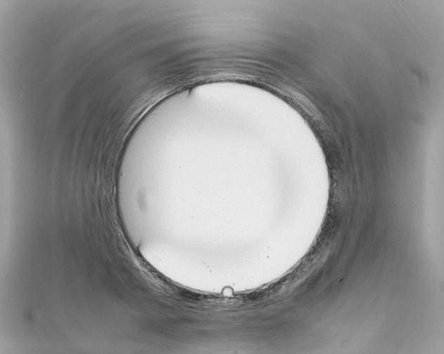 X0000111250793200908131206