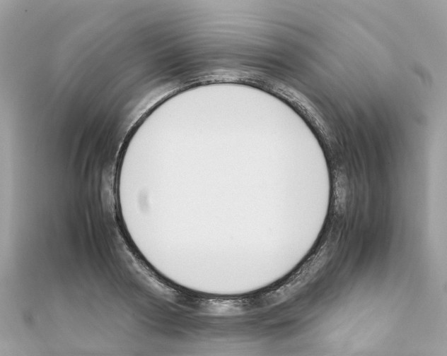 X0000111250794200908131206