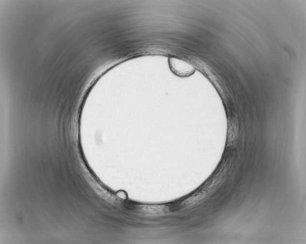 X0000111250795200908131206