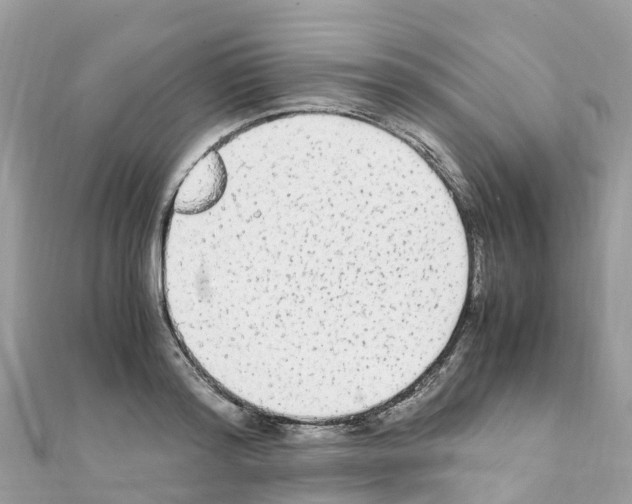 X0000111250796200908131206