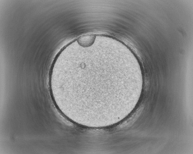 X0000111250797200908131206