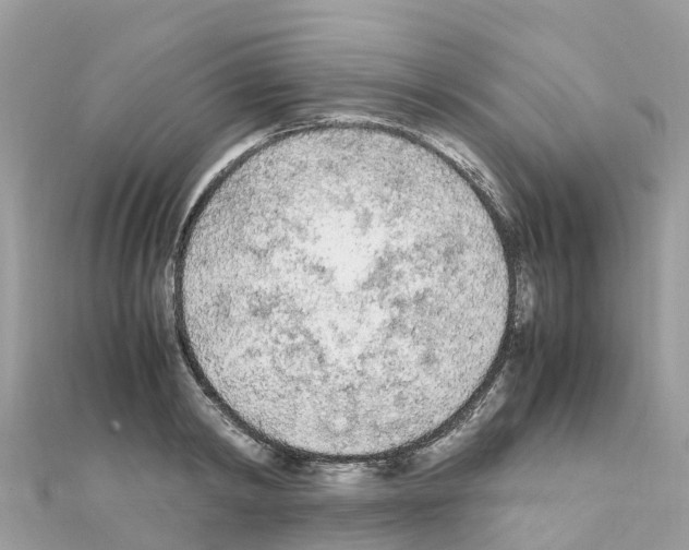 X0000111250798200908131206