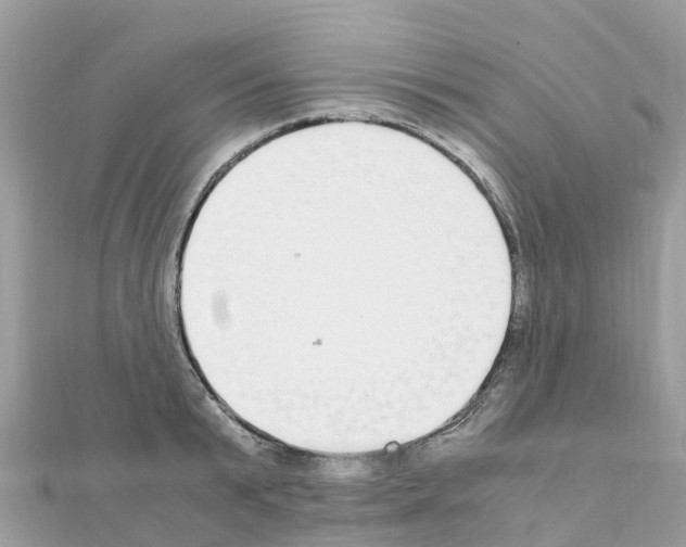 X0000111250799200908131206