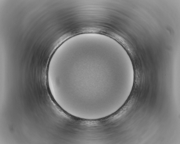 X0000111250802200908131206