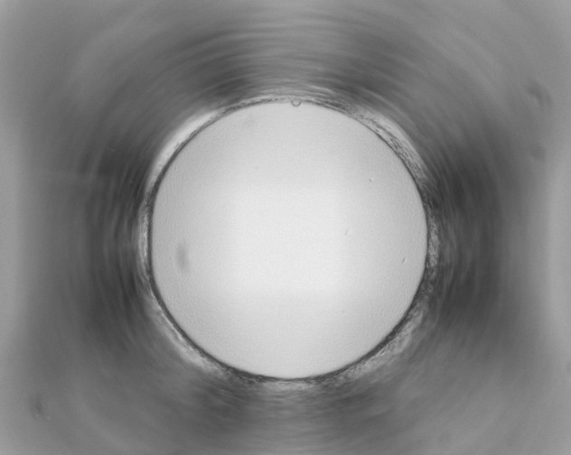 X0000111250804200908131206