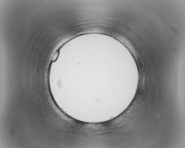 X0000111250805200908131206