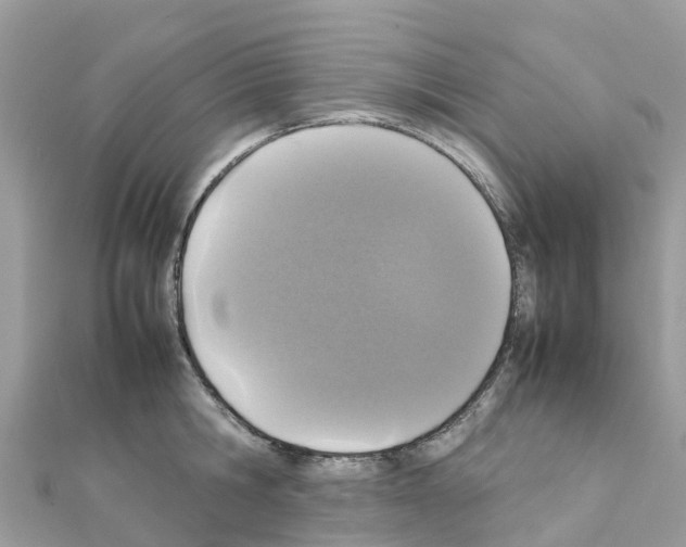 X0000111250806200908131206