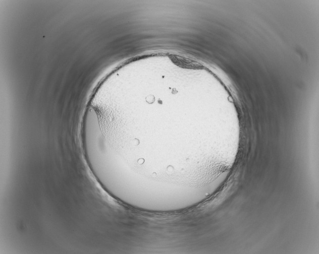 X0000111250807200908131206