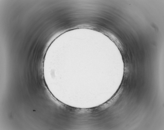 X0000111250808200908131206