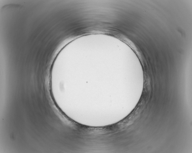 X0000111250811200908131206