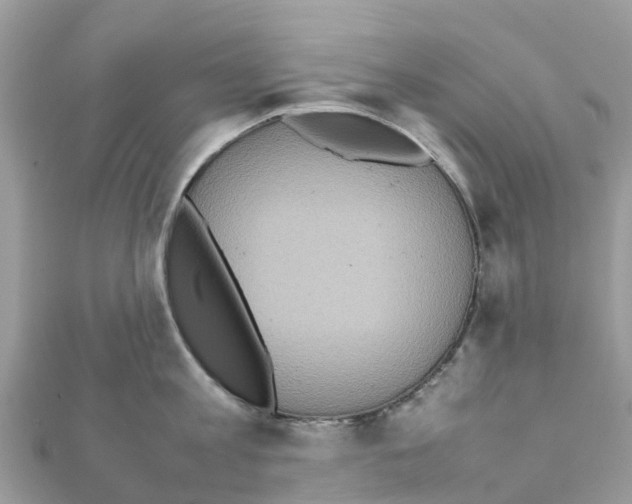 X0000111250813200908131206