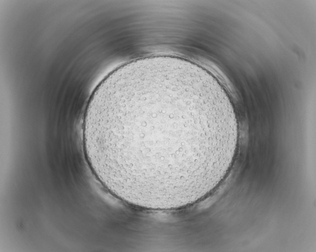 X0000111250814200908131206