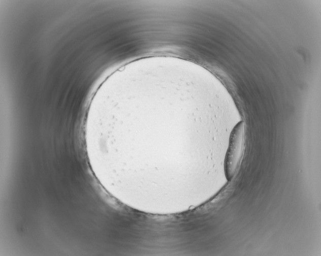 X0000111250816200908131206